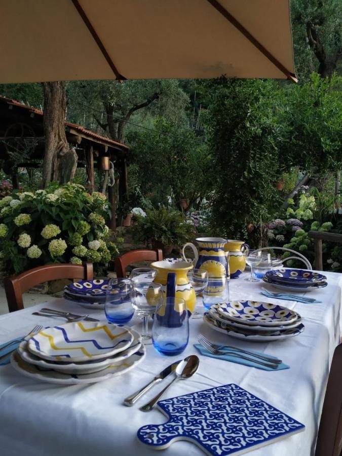 Da Rosali Bed & Breakfast ซอร์เรนโต ภายนอก รูปภาพ